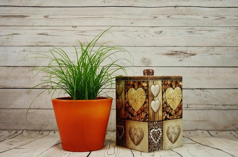 Upcycled Planter